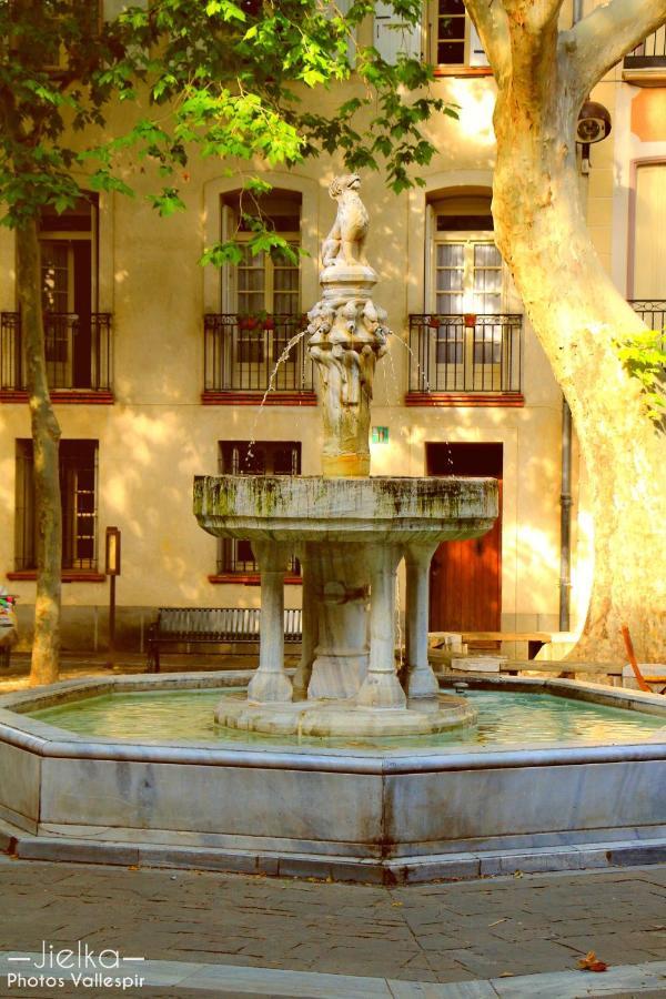 La Cigogne Apartment Ceret Exterior photo