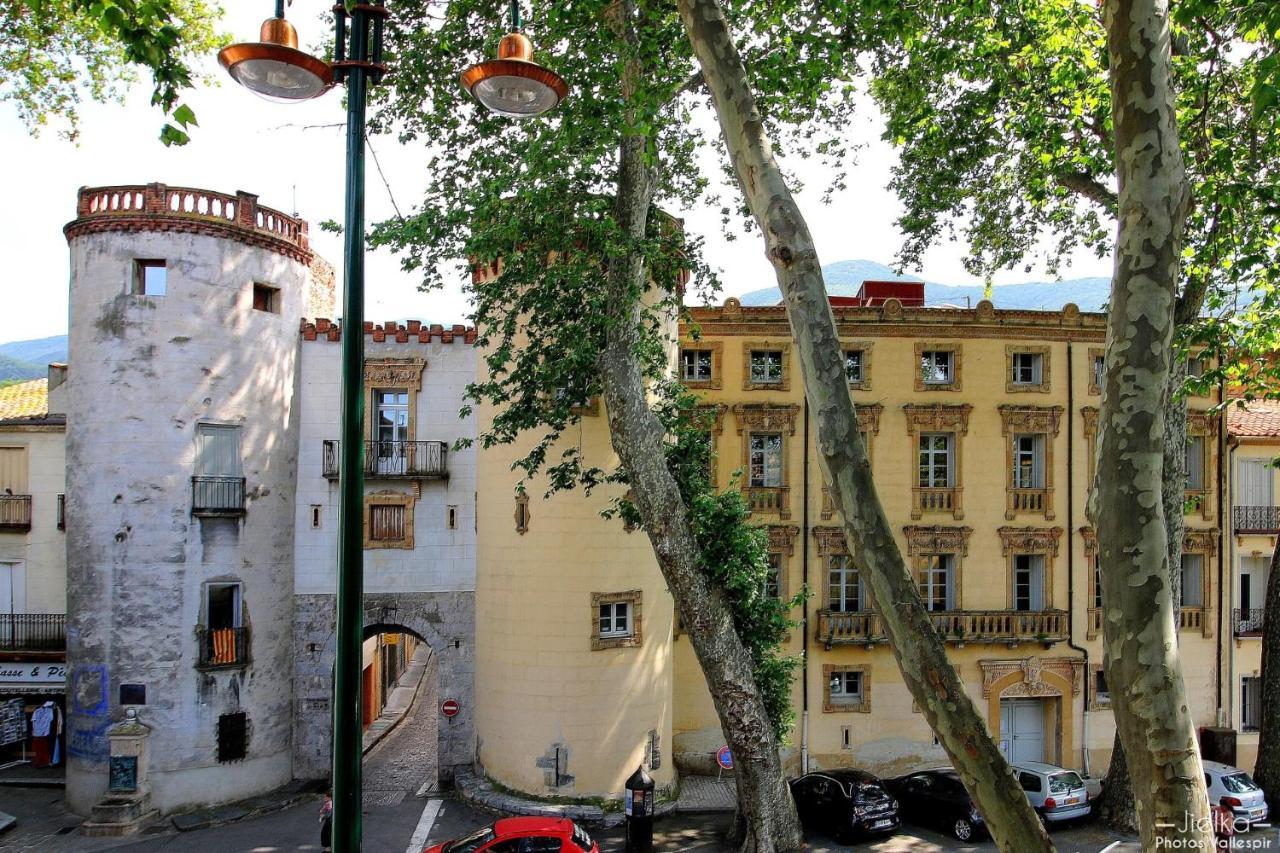 La Cigogne Apartment Ceret Exterior photo
